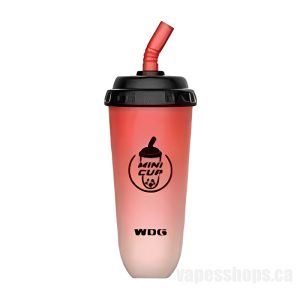 Wdg Mini Cup Disposable E-cigs # Watermelon Ice 5000 Puff