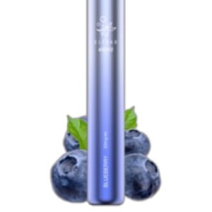 ELF BAR 600V2 Disposable 600 Puffs Blueberry 2ml